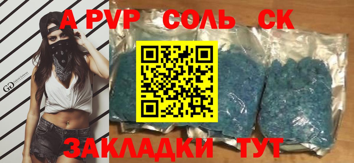 Альфа ПВП СК Светлоград